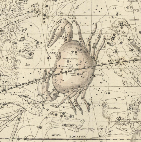 cancer-jamieson-1822-sm