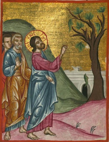 Gesu-e-il-fico